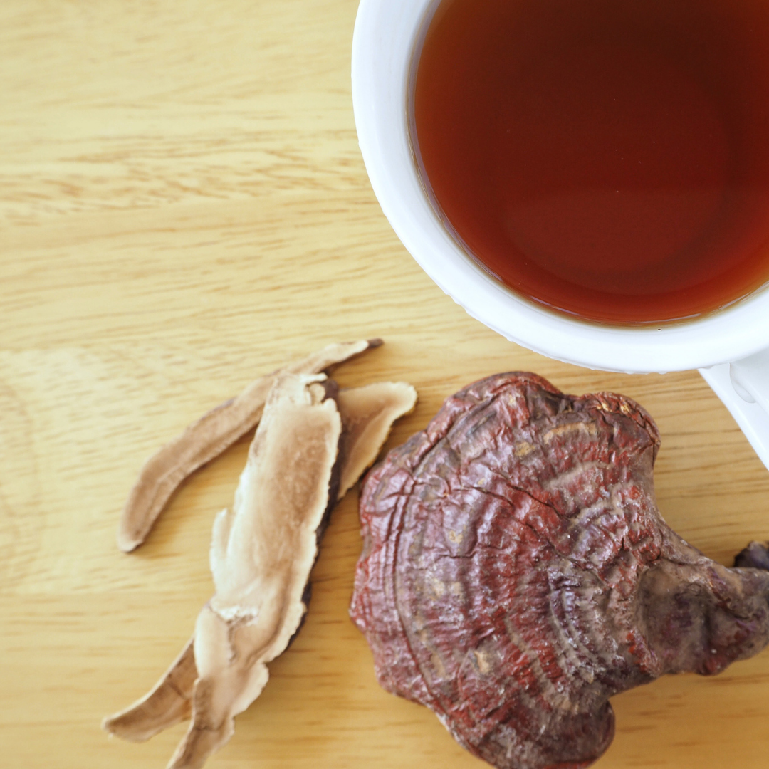 The Comprehensive Guide to Reishi Mushrooms