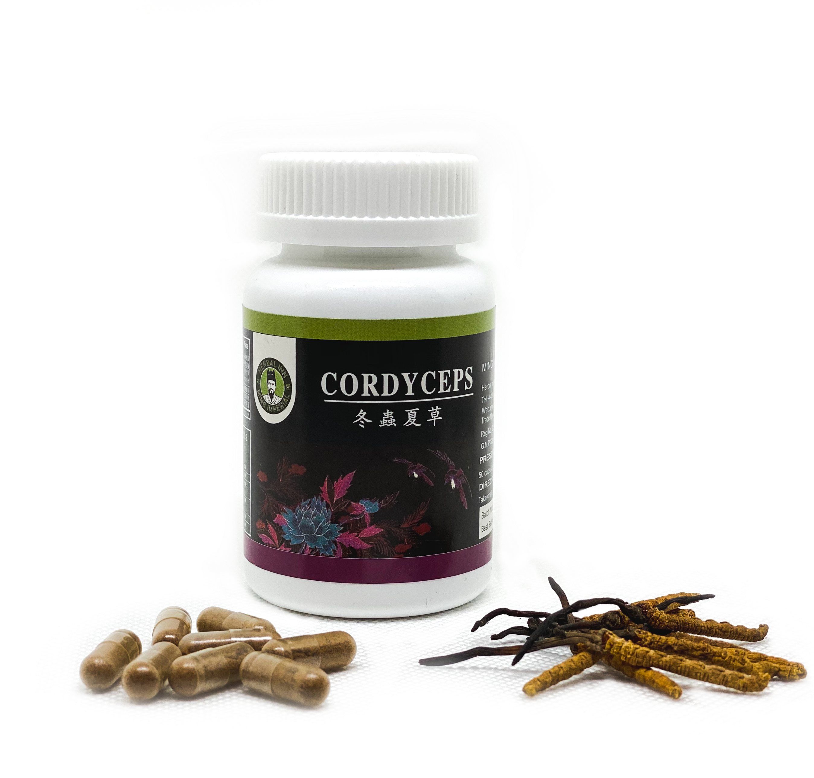 Cordyceps