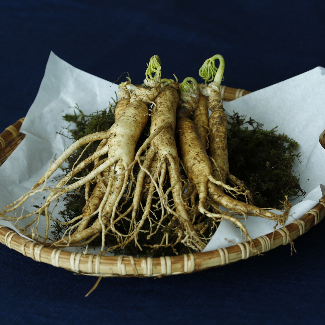 10 FAQs about the Power of Ginseng Supplements
